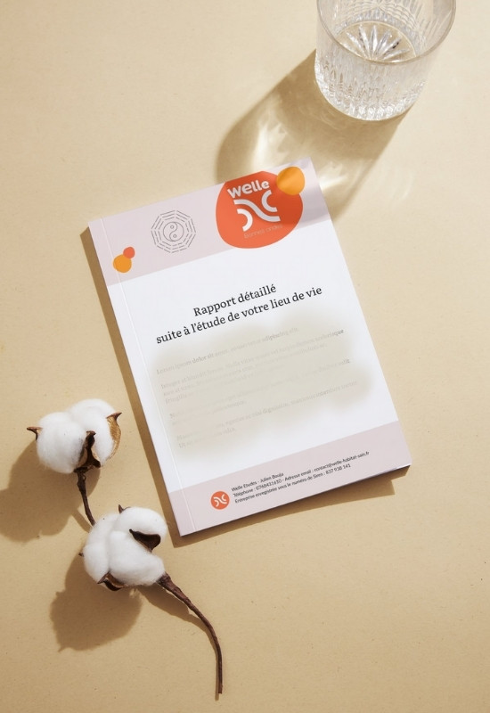 Aménagement Feng Shui traditionnel - Rapport détaillé _ Welle Habitat Sain